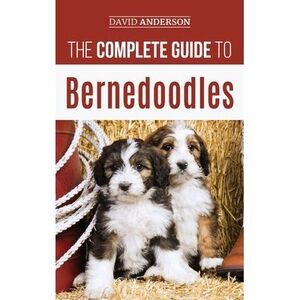 The Complete Guide to Bernedoodles: Everything you need to know to successfully